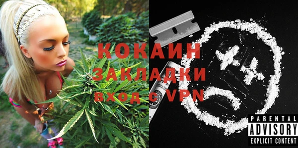 индика Армянск