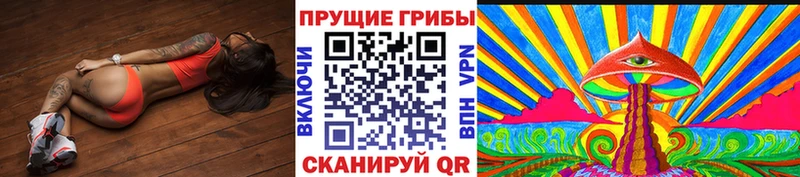 МЕГА как войти  Солнечногорск  Псилоцибиновые грибы Magic Shrooms  что такое наркотик 