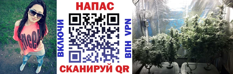 mega сайт  закладка  Солнечногорск  Марихуана THC 21% 